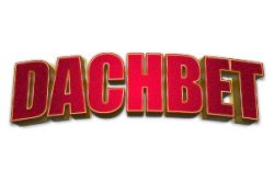 dachbet casino